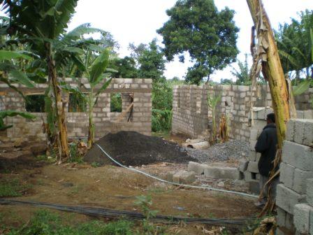 pic2.jpg